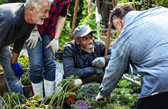 A group of friends gardening