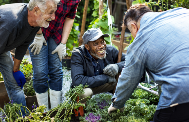 5 tips to help you on your garden Thumbnail